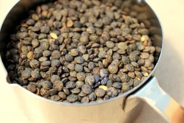 Close up view of green or french lentils in a measuring cup.