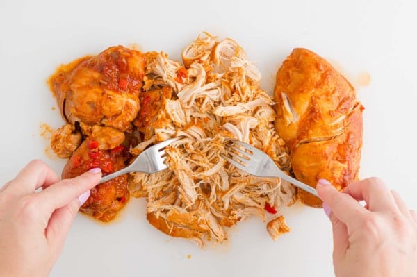 Hands use two forks to shred cooked salsa chicken on a countertop.