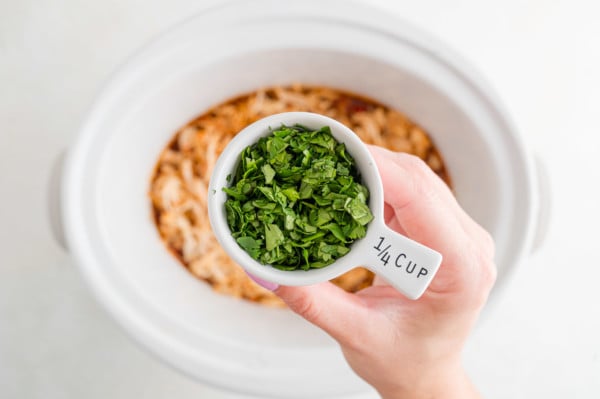 A hand holding a 1/4 cup scoop filled with minced cilantro over salsa chicken in a crockpot.