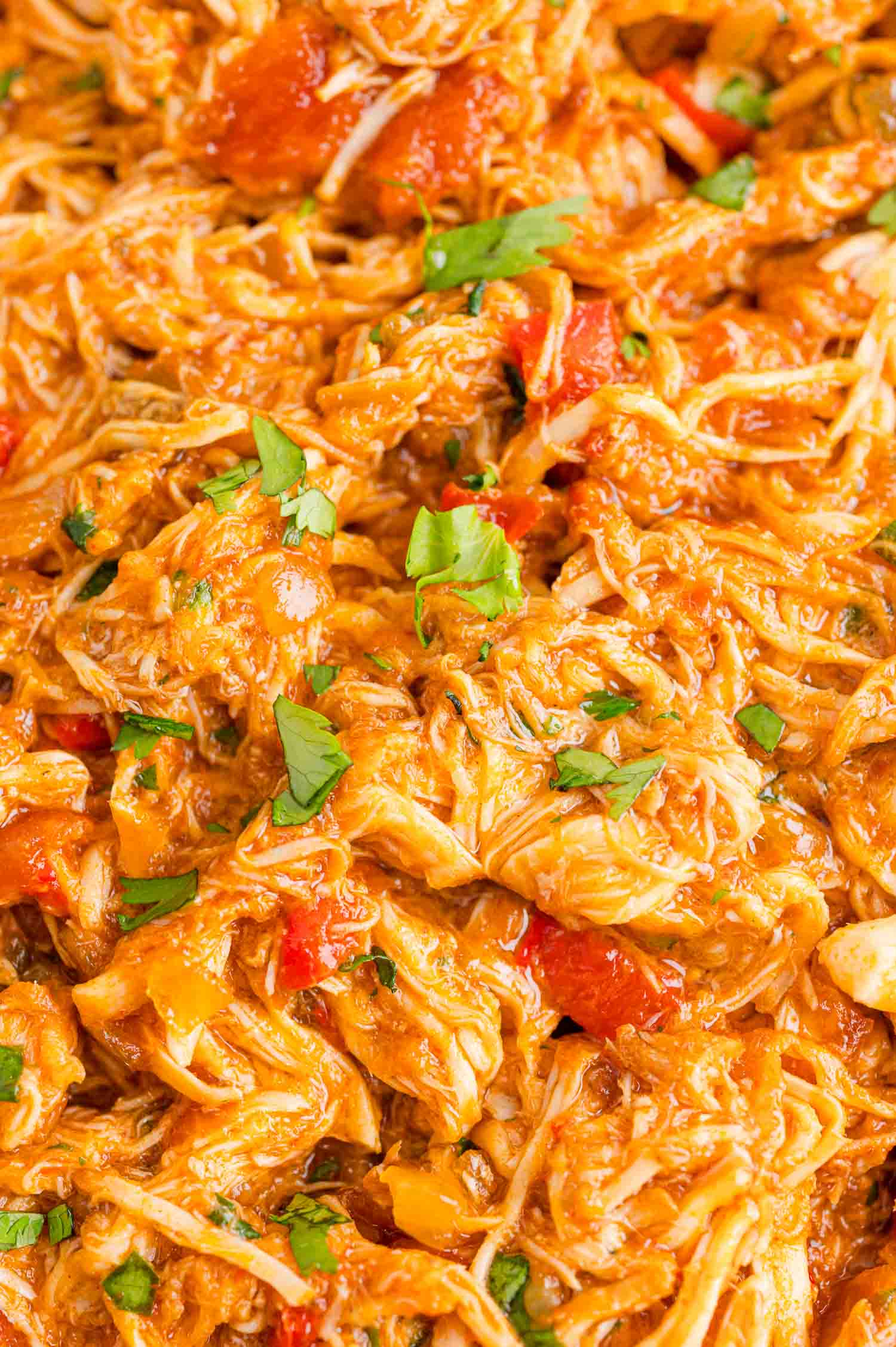 Close up of shredded crockpot salsa chicken.