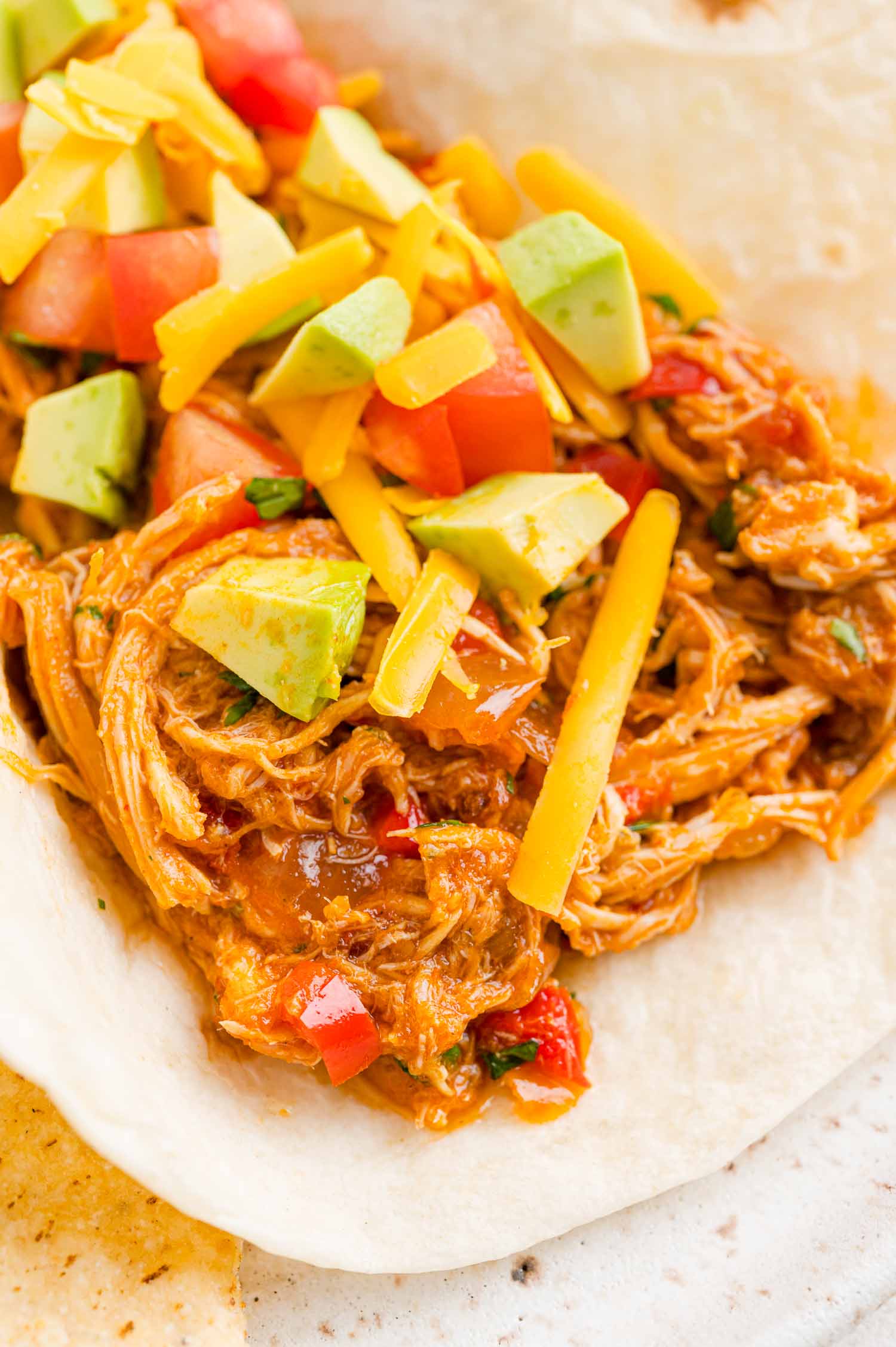 Crockpot salsa chicken served inside a flour tortilla with diced avocado, tomatoes, and shredded cheese.