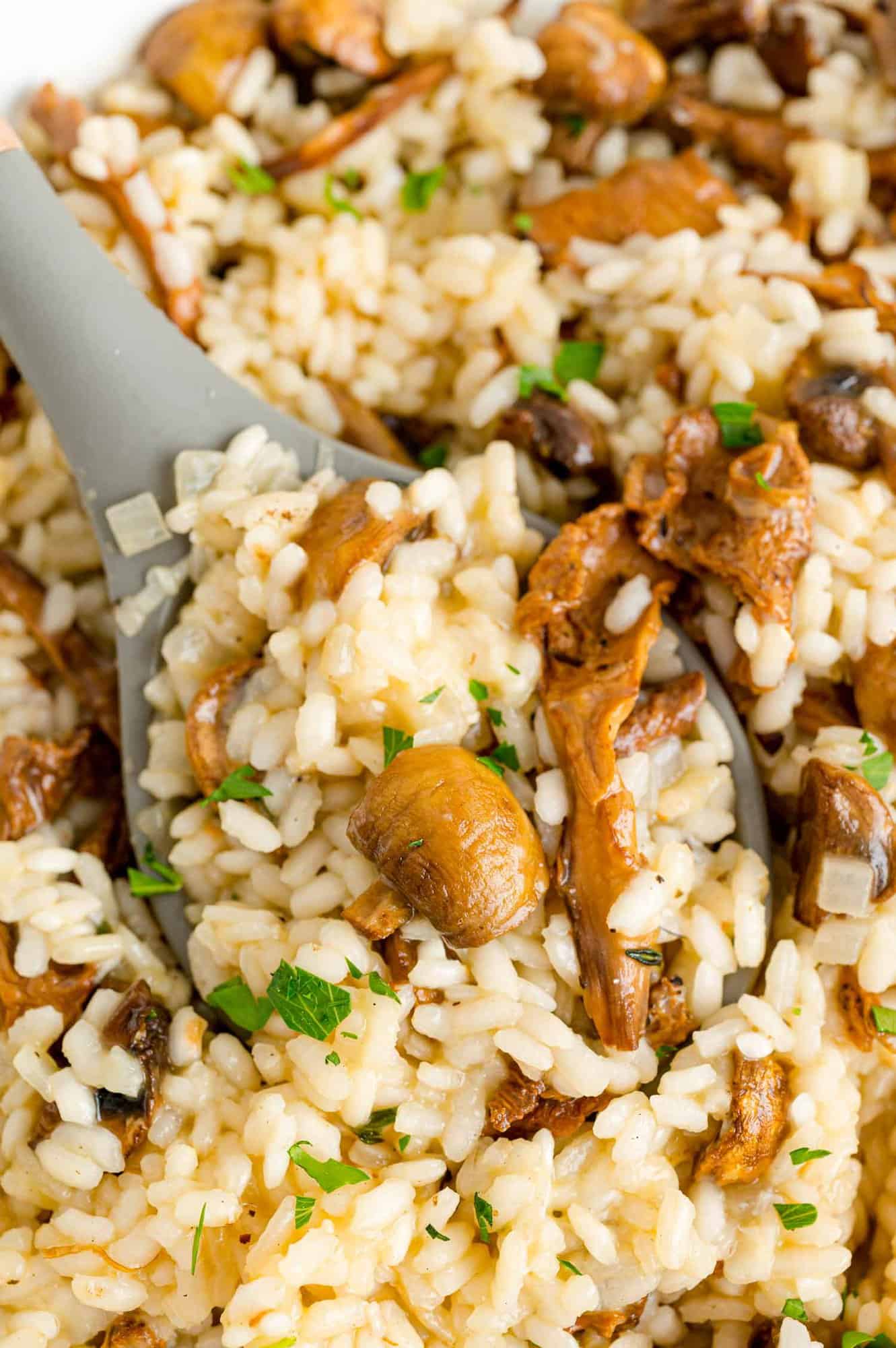 A large serving spoon scoops up mushroom risotto from a pot.