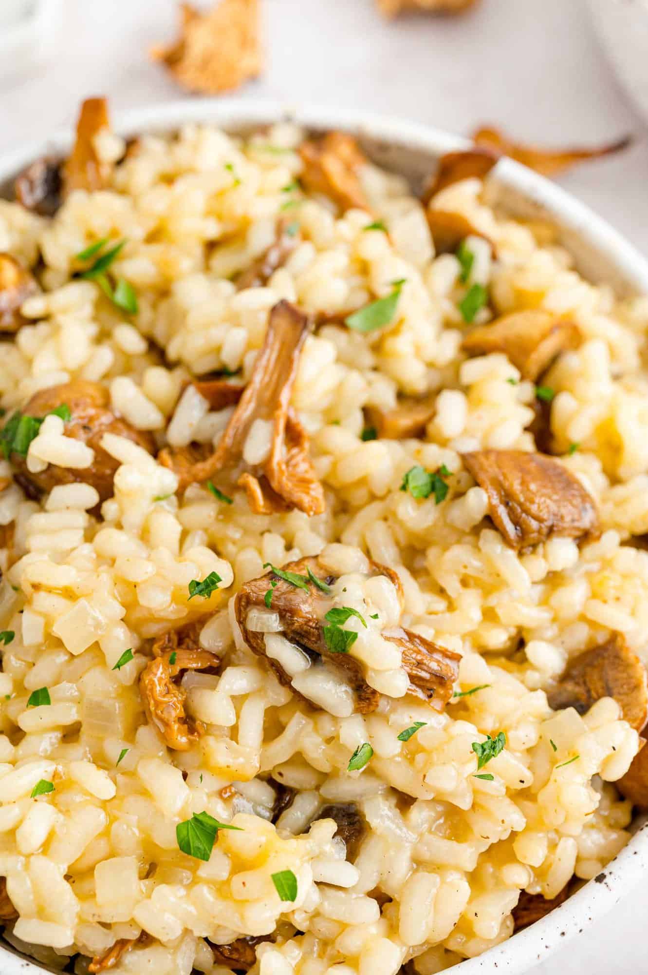 Close up of a bowl of mushroom risotto.