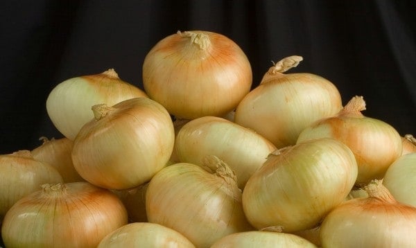 vidalia onions