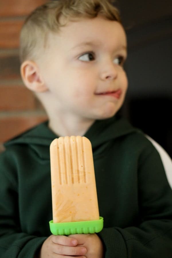 Healthy Orange Creamsicles are a great summertime treat - Greek yogurt makes them a great snack! Get the easy recipe on RachelCooks.com!