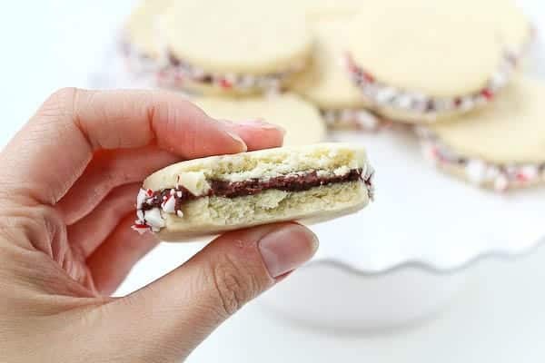 These Peppermint Sugar Cookie Sandwiches with Chocolate Ganache are easy to make and a gorgeous addition to your holiday cookies. Get the recipe on RachelCooks.com!