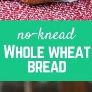 This no-knead whole wheat bread recipe could not be easier! Great for the beginner baker. Get the easy recipe on RachelCooks.com!