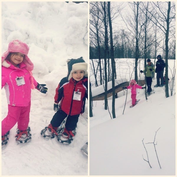 snowshoeing at treetops photo