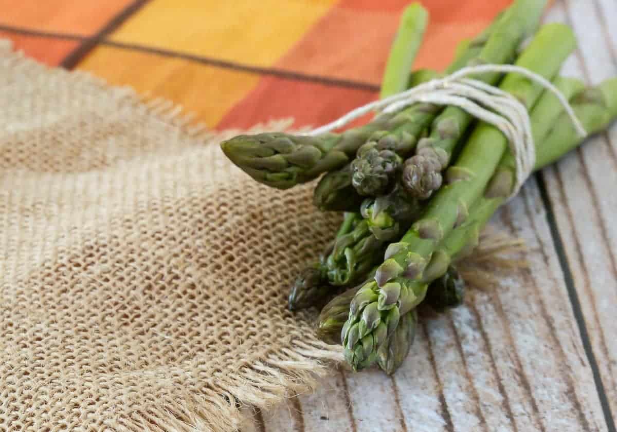 fresh asparagus bundled with a ribbon