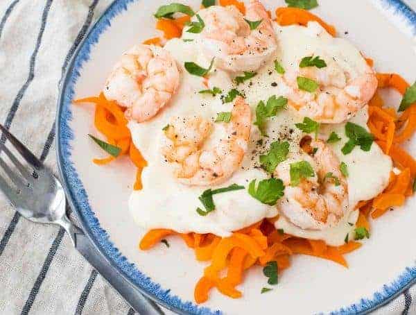 Overhead closeup of shrimp alfredo on carrot noodles, on plate with decorative blue edging.