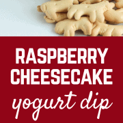 This raspberry cheesecake yogurt dip is a great summertime treat and perfect for dunking fruit, crackers, or cookies into it. Get the sweet dip recipe on RachelCooks.com