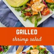 This Grilled Shrimp Salad with Garlic Parmesan Italian Vinaigrette is summer perfection. With all the colors, it's literally a taste of the rainbow. You'll be full and satisfied without feeling like you need a nap when you're done eating this! Get the easy salad recipe on RachelCooks.com!