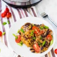 Overhead of round white plate containing chicken with quinoa, instant pot in background.