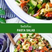 This is a classic tortellini pasta salad that's perfect for cookouts, BBQs, and potlucks! It's a universal crowd-pleaser thanks to cheesy pasta pockets and all the other fresh and flavorful ingredients. Make it for your next picnic! 