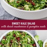 This sweet kale salad is a copycat of the popular bagged salad you find in grocery stores -- but as always, homemade is way better!