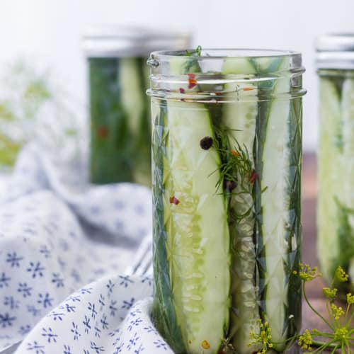 Image of homemade refrigerator dill pickles in a jar. Two jars in the background. Sprigs of dill also pictured.