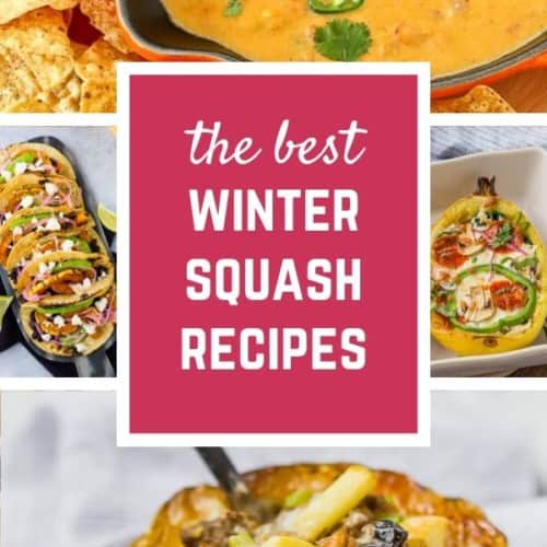 Versatile, good for you, and delicious, these winter squash recipes will wow your family and friends! From basic how to recipes to surprising entrees, you'll be enjoying winter squash from September to May! 