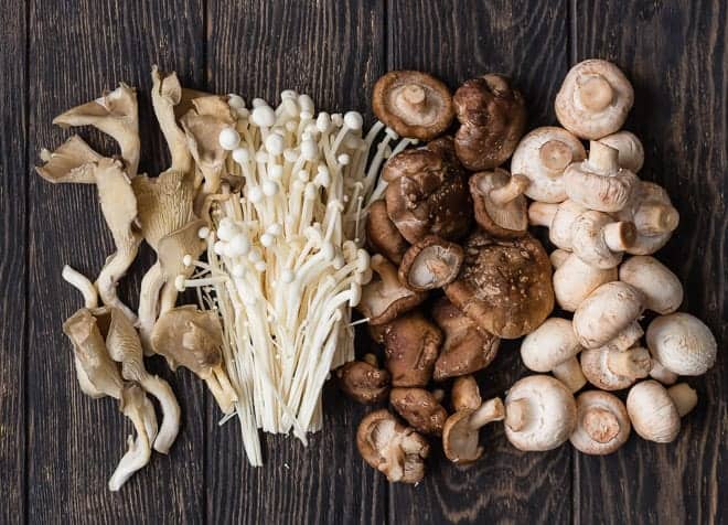 Photograph of four varieties of mushrooms.