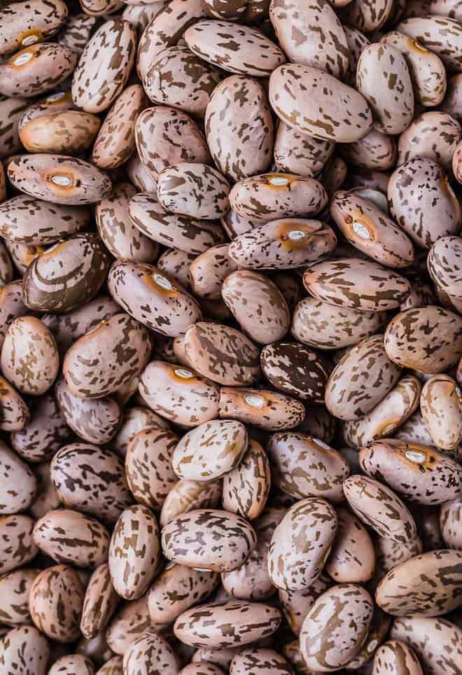 Close up image of dry pinto beans.