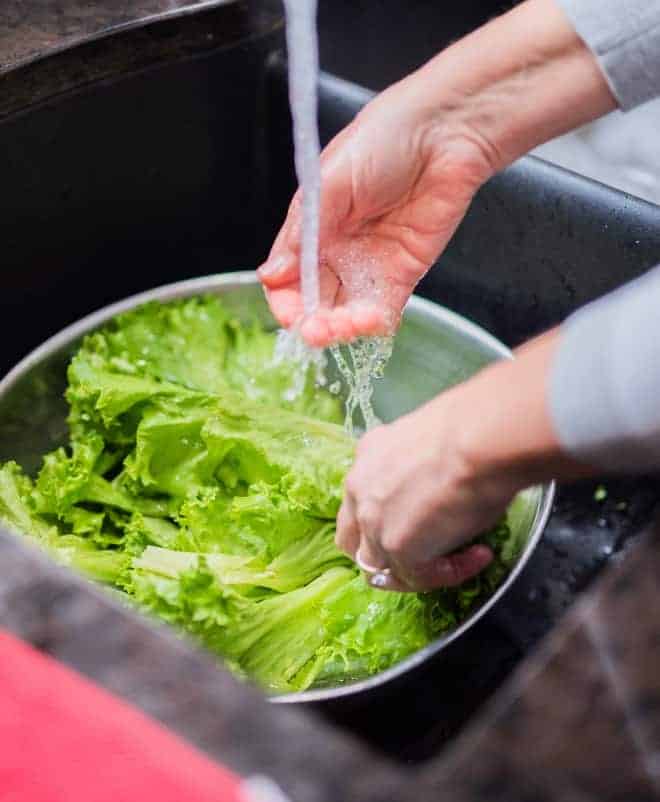 Image of leaf lettuce being washed in a sink.