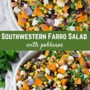 Exploding with color and flavor, this farro salad recipe has it all: roasted sweet potatoes, spicy roasted poblano peppers, black beans, corn, and cilantro, with an easy homemade chili lime dressing.