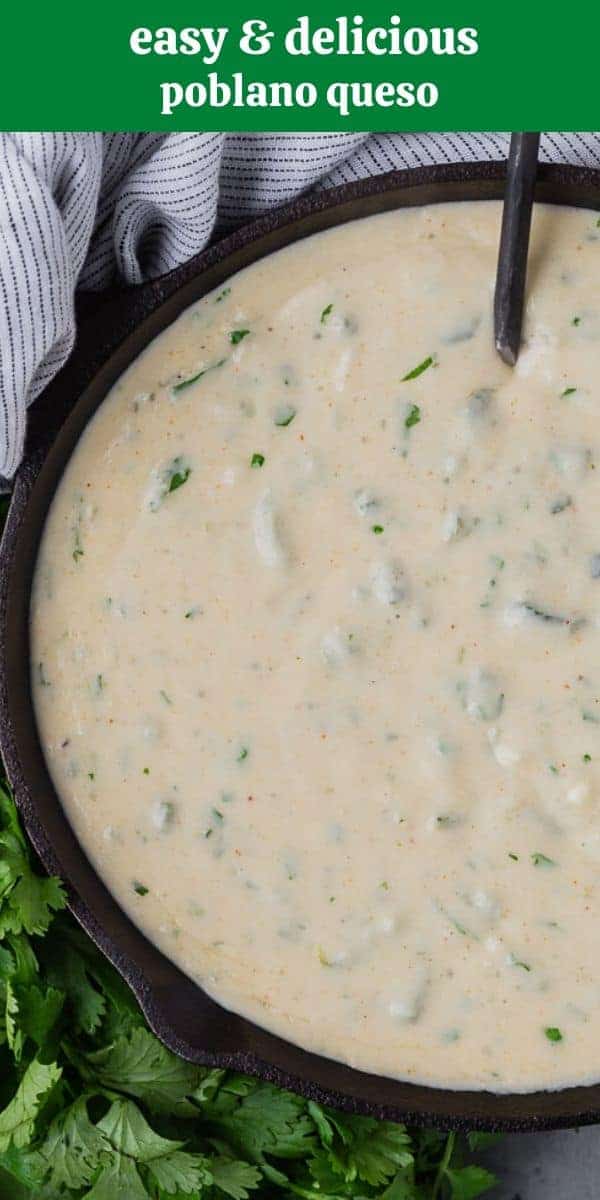 Overhead view of queso blanco made with dark green poblano peppers. Chips are also visible.