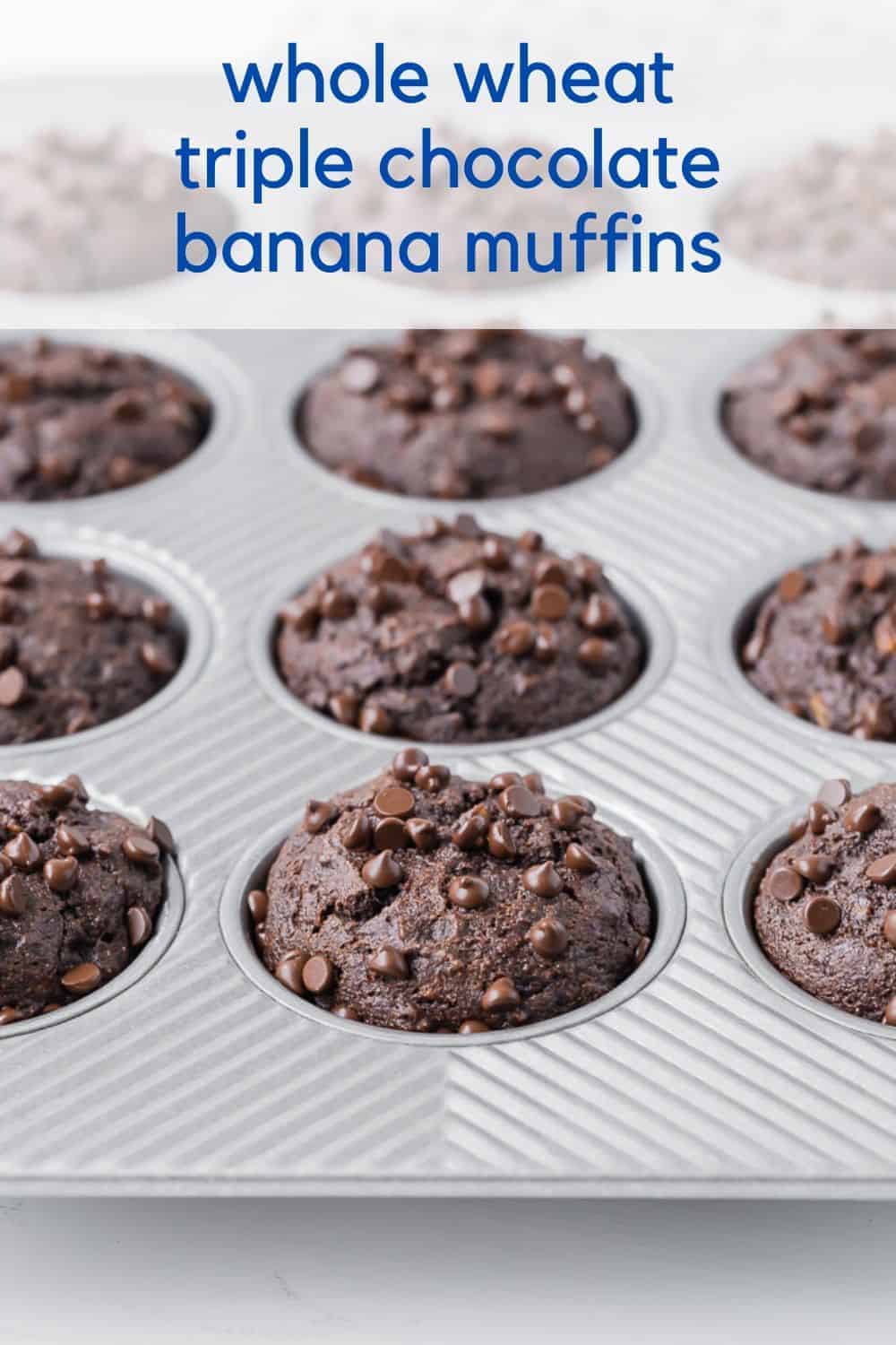 Chocolate muffins with chocolate chips, with text overlay.