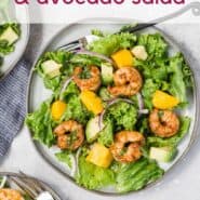 Overhead view of a colorful salad with shrimp, mango and avocado. Text overlay reads, "shrimp, mango, and avocado salad."