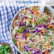 Colorful coleslaw in a white bowl with a blue and white linen. Text overlay reads "vinegar coleslaw - rachelcooks.com"