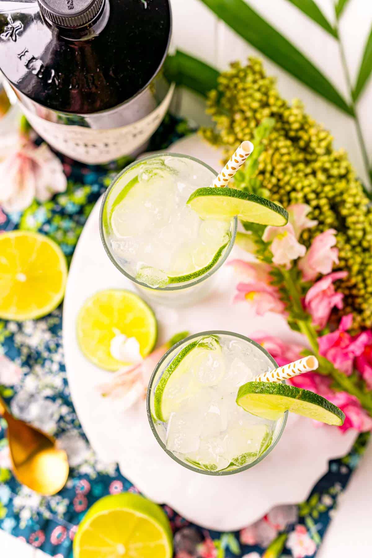 Overhead view of two G&T cocktails.