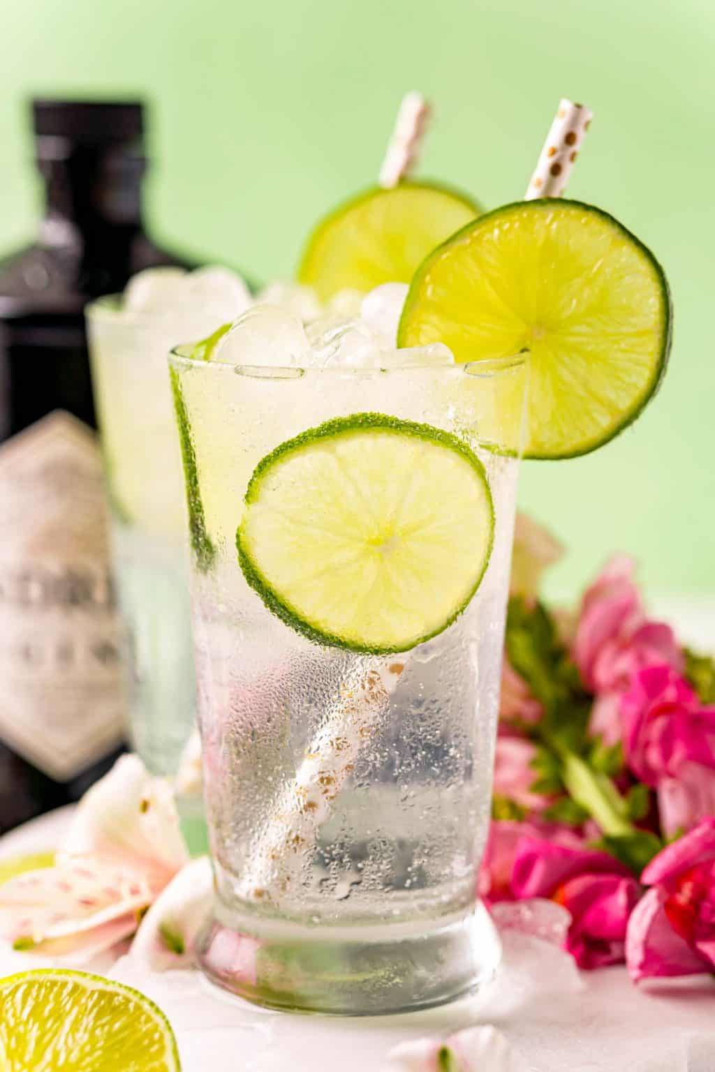 Classic Gin and Tonic Recipe tips to make the best! Rachel Cooks®