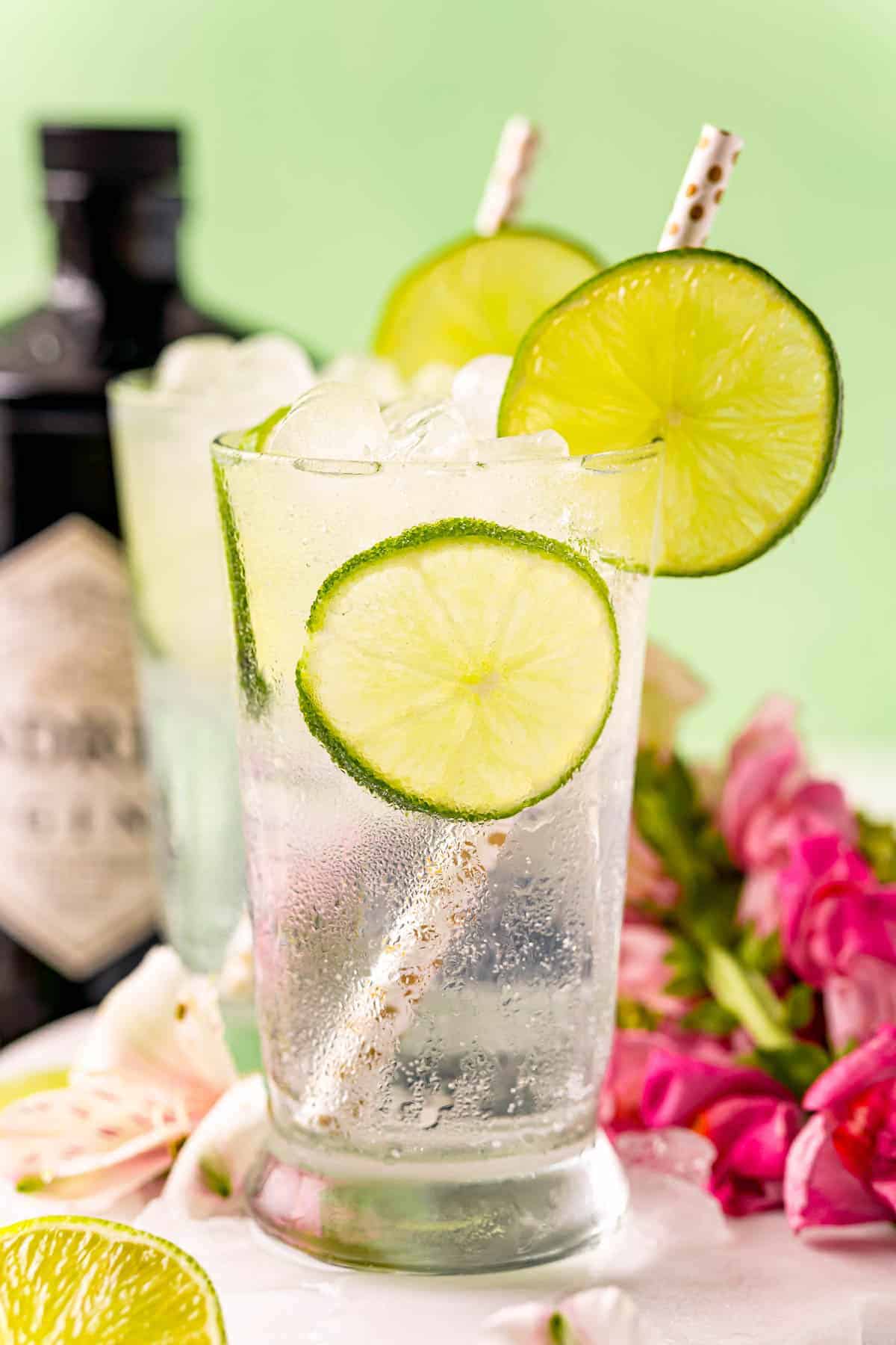 Gin and Tonic in a clear glass with lime slices, another glass in the background, and a bottle of gin.