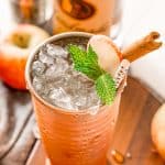 An iced drink in a copper cup, garnished with apple, mint leaves, and a cinnamon stick
