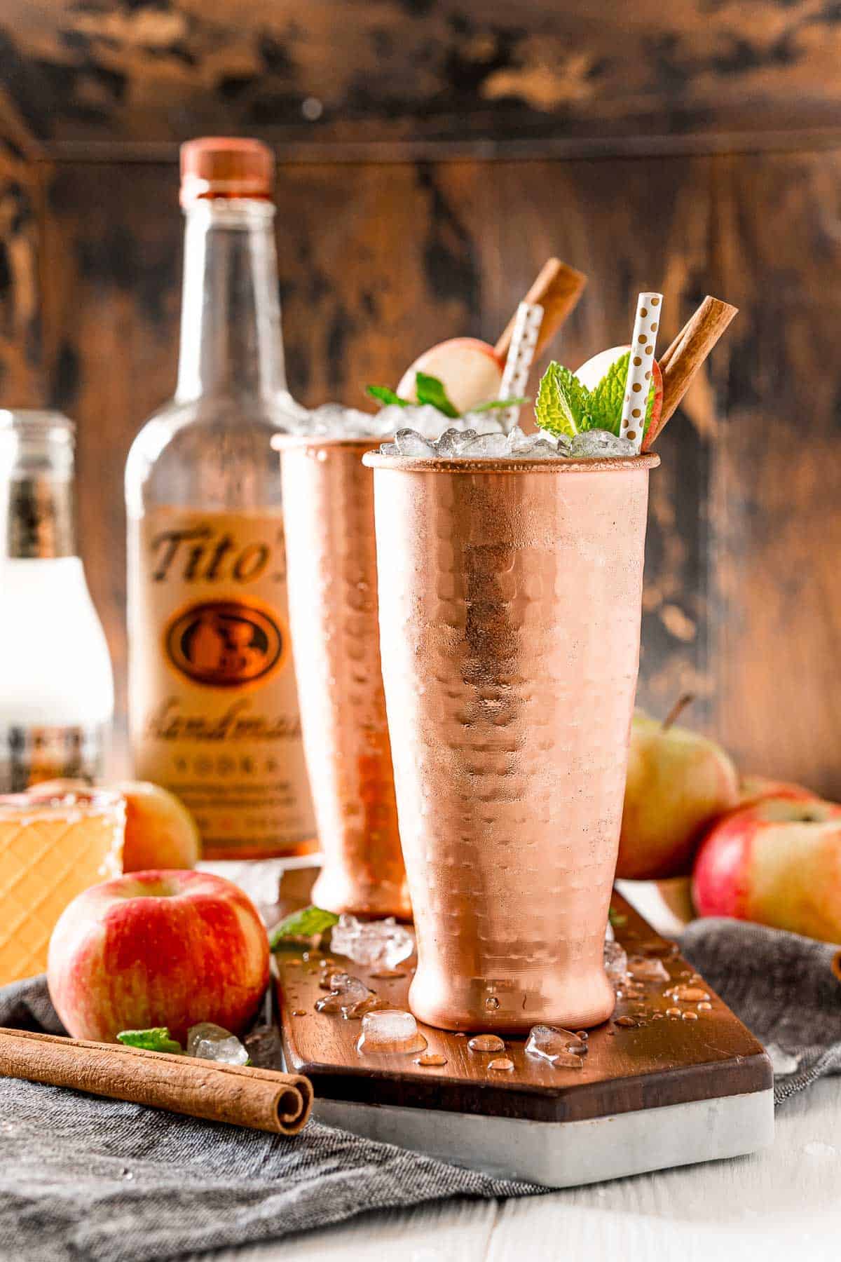 Two tall copper glasses garnished with mint, apple, and cinnamon sticks. Vodka and ginger beer in background.