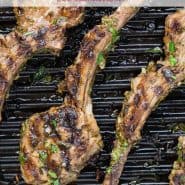 Overhead view of lamb on a grill pan. Text overlay reads "garlic herb grilled lamb chops, rachelcooks.com"