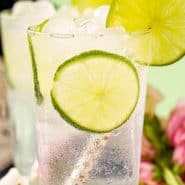 A clear drink with lime slices and a straw. Text overlay reads "classic gin & tonic"