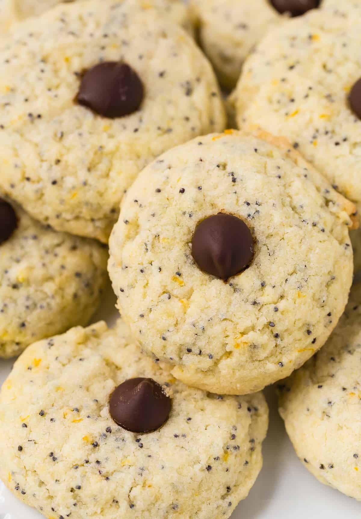 Closeup of Poppy seed cookies with orange zest and a chocolate chip.