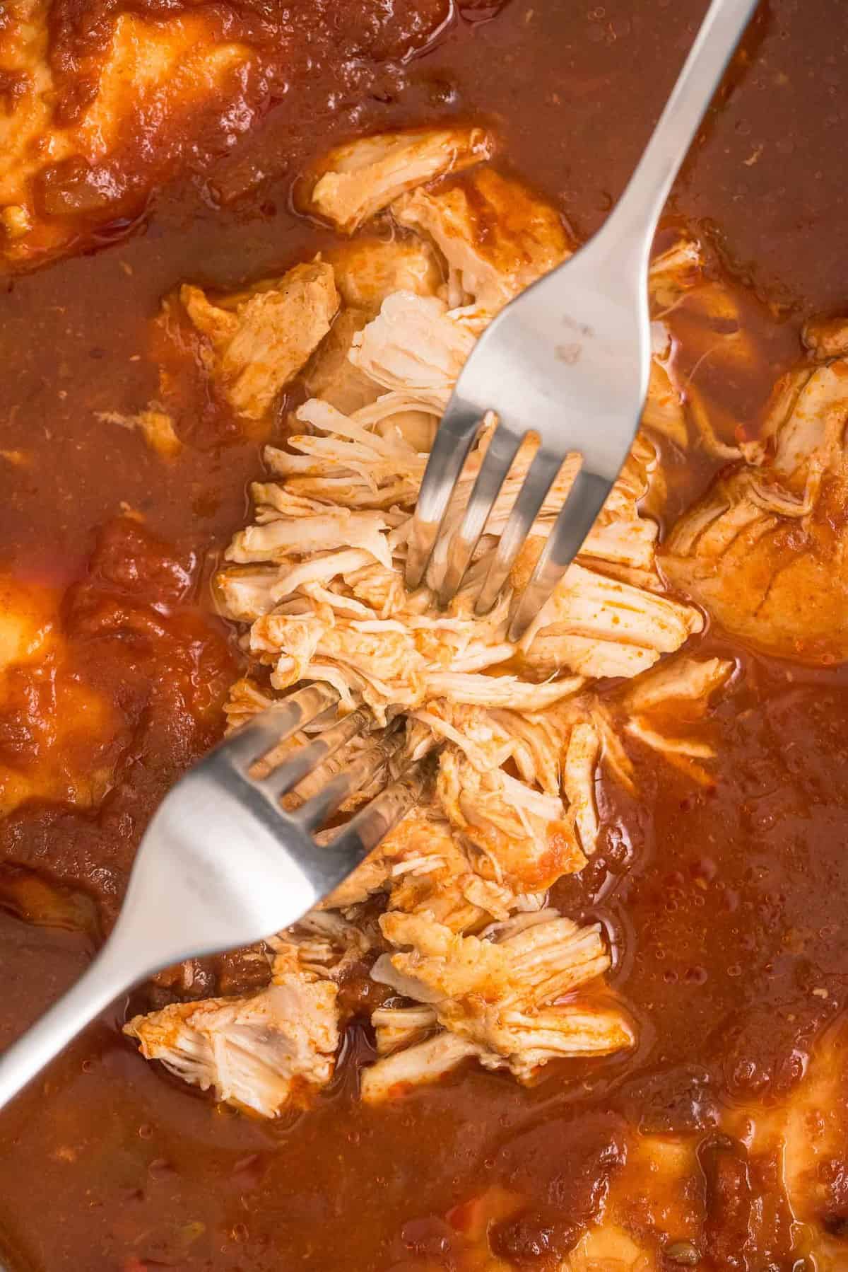 Chicken being shredded with two forks.