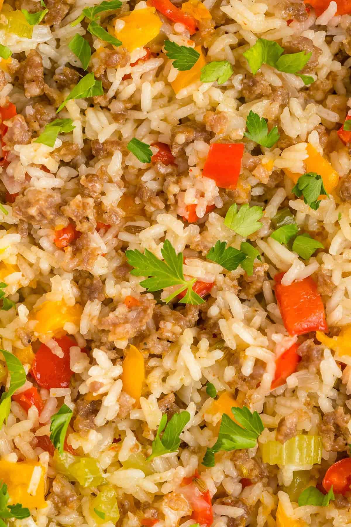 Close up of rice and vegetables, garnished with parsley.