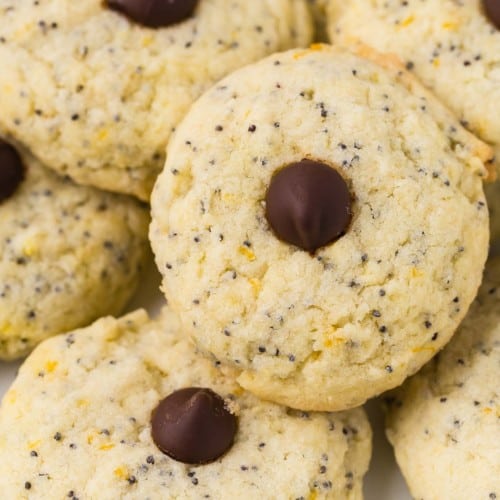 Close up of an orange and poppyseed cookie, with a chocolate chip in the center.