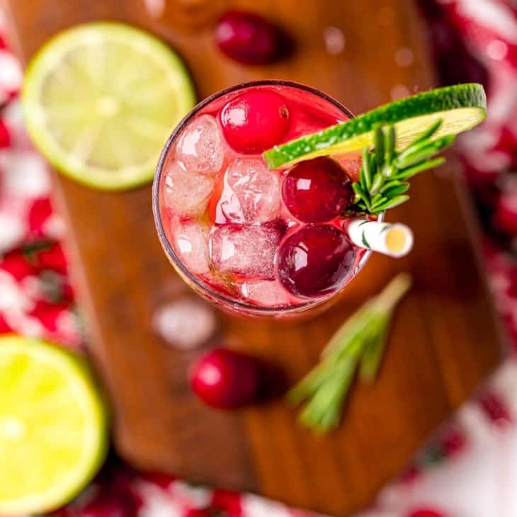 Cranberry Gin & Tonic with Rosemary Recipe Rachel Cooks®