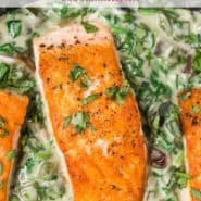 Overhead view of seared salmon, text overlay reads "salmon with spinach poblano cream sauce."