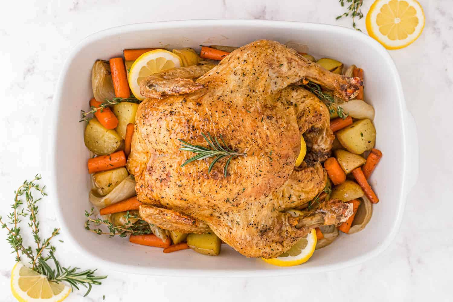 Roasted whole chicken on top of roasted vegetables, garnished with herbs.