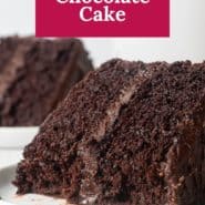 Slice of cake, text overlay reads, "easiest chocolate cake."