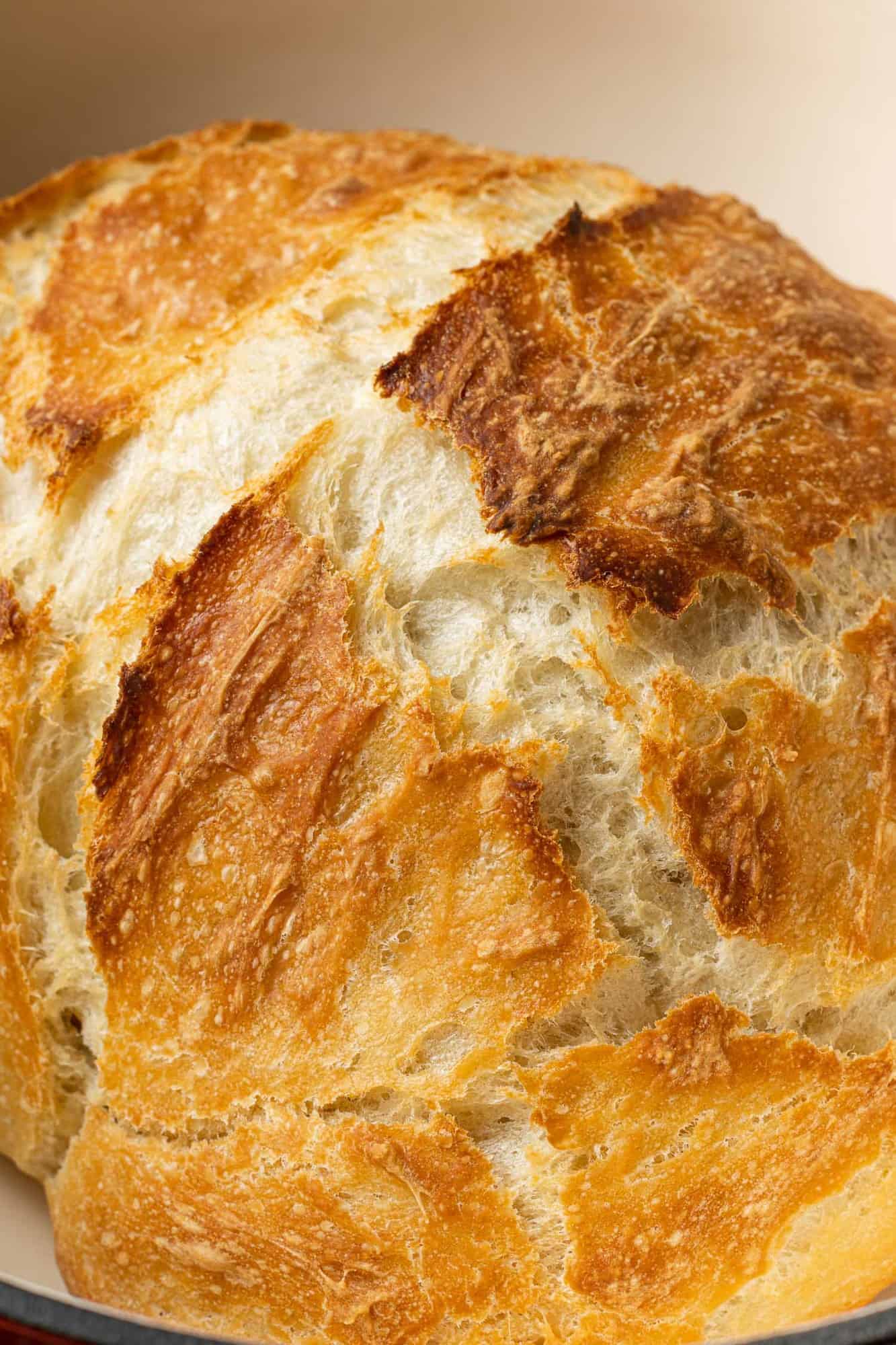 Loaf of bread in a dutch oven.