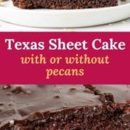 Chocolate cake on a white plate, text overlay reads "texas sheet cake, with or without pecans."