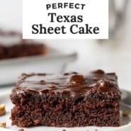 Chocolate cake on a white plate, text overlay reads "perfect texas sheet cake."