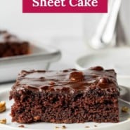 Chocolate cake on a white plate, text overlay reads "delicious texas sheet cake."