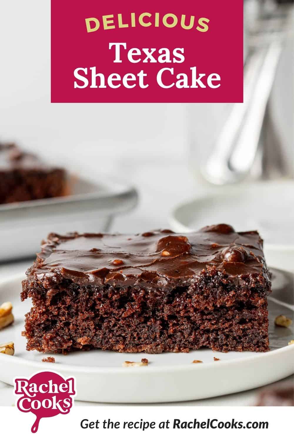 Chocolate cake on a white plate, text overlay reads "delicious texas sheet cake."