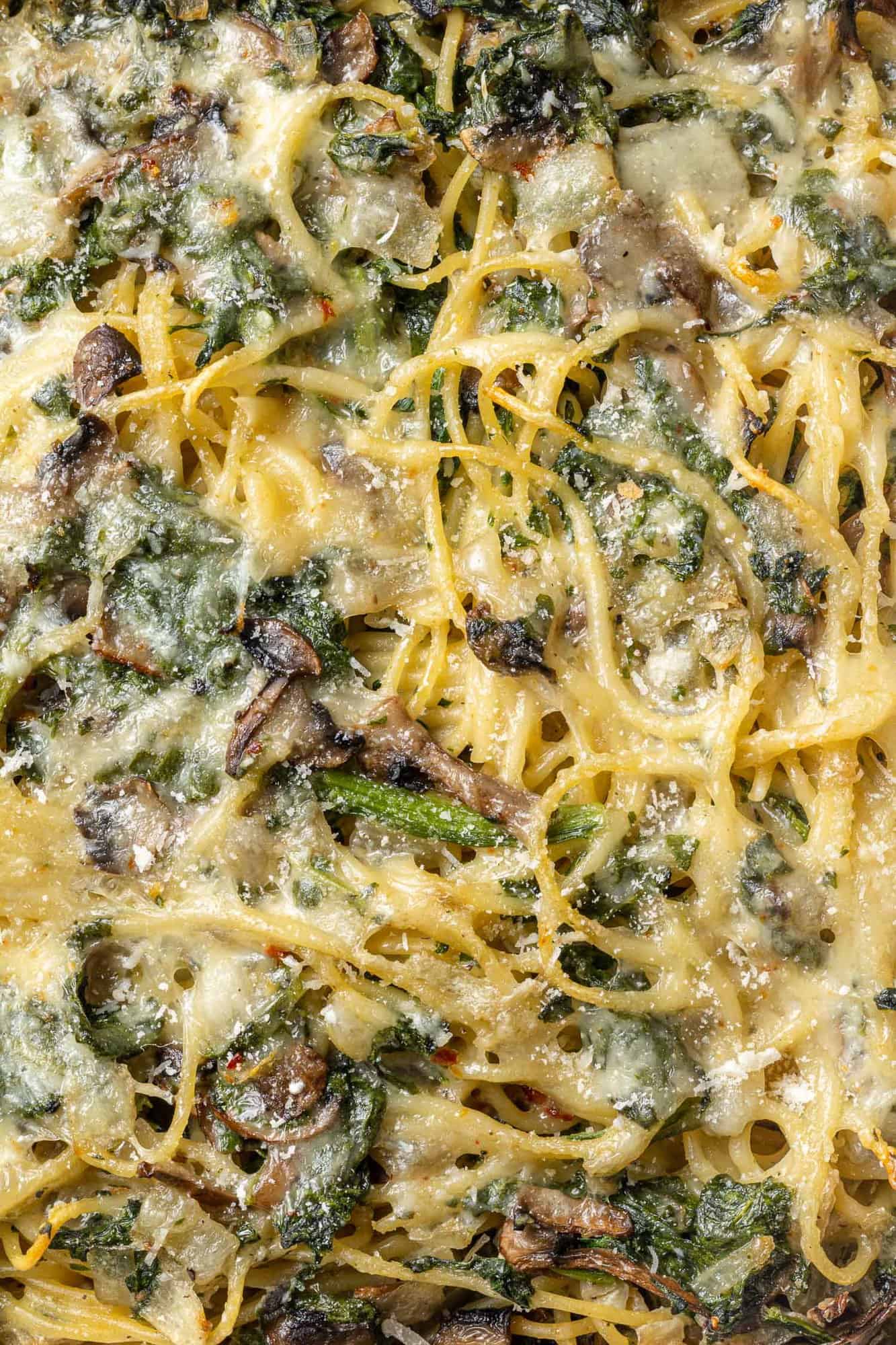 Very close up image of baked spaghetti with cheese, spinach, and mushrooms.
